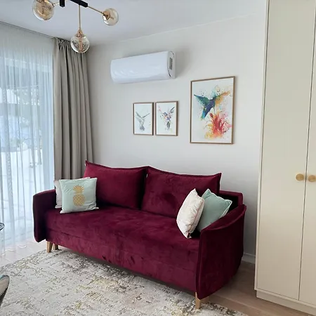 Sea Drop Mano Jura 3 パランガ