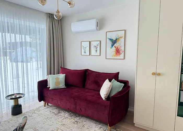 Sea Drop Mano Jura 3 パランガ